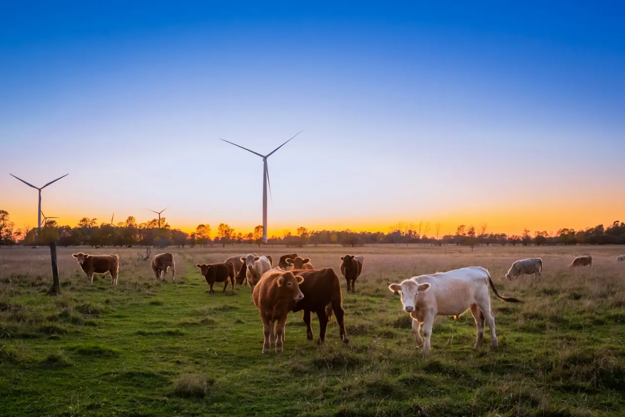 farmland-2-unsplash